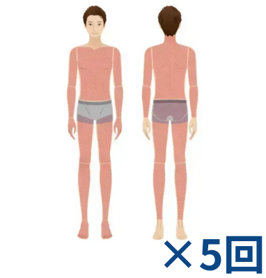 全身5回