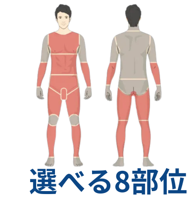全身4回