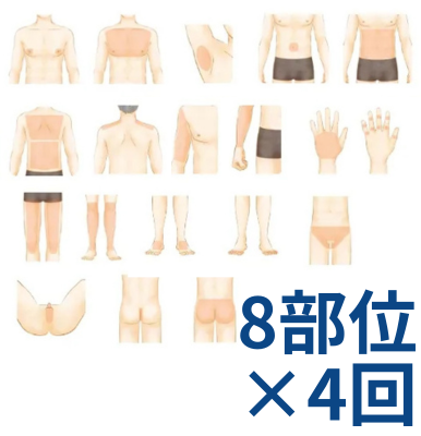 全身8回