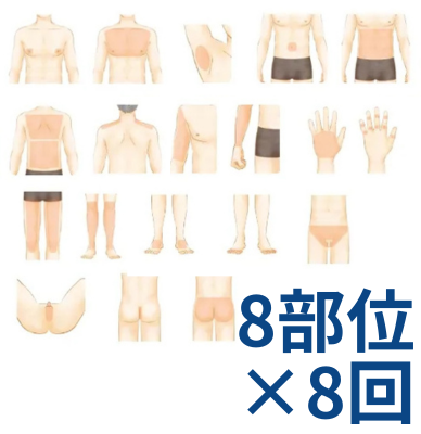 全身8回